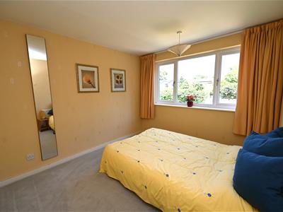 Picture 11